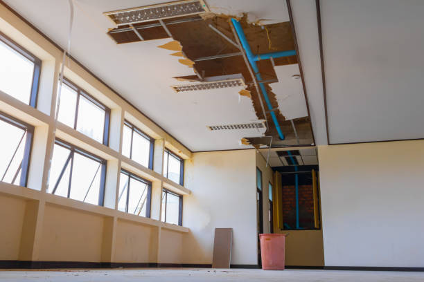 Best Mold removal after water damage  in Barnesville, MN