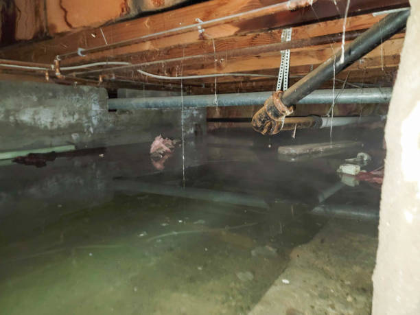 Carpet water damage restoration in Barnesville, MN