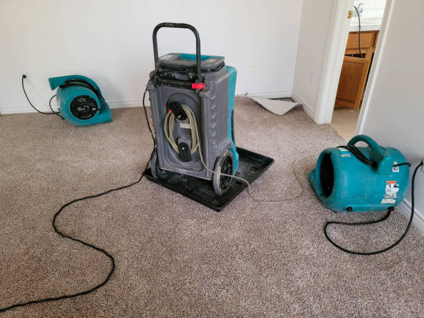 Best Water damage restoration experts  in Barnesville, MN
