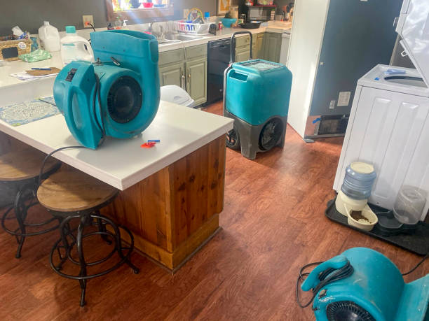 Best Local water damage restoration  in Barnesville, MN