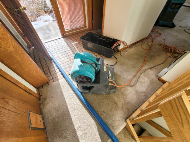 Best Emergency water damage restoration  in Barnesville, MN