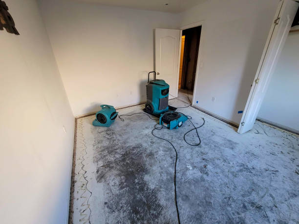 Best Carpet water damage restoration  in Barnesville, MN