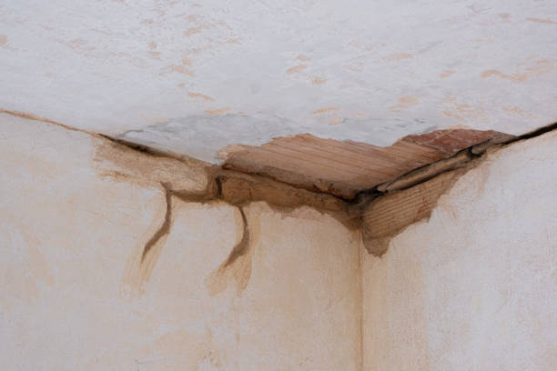 Best Residential water damage restoration  in Barnesville, MN