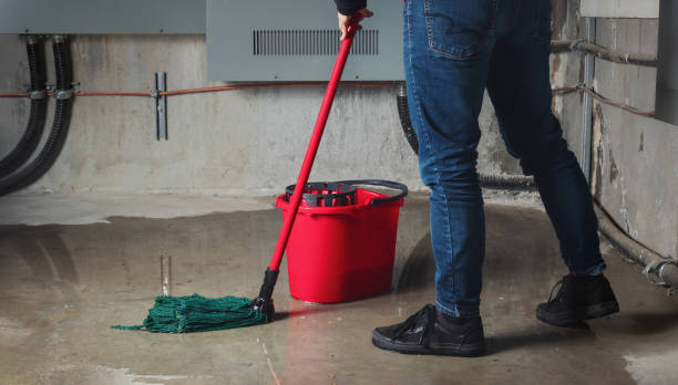 Water damage restoration experts in Barnesville, MN