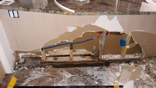 Best Professional water damage repair  in Barnesville, MN