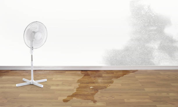 Trusted Barnesville, MN Water damage restoration Experts