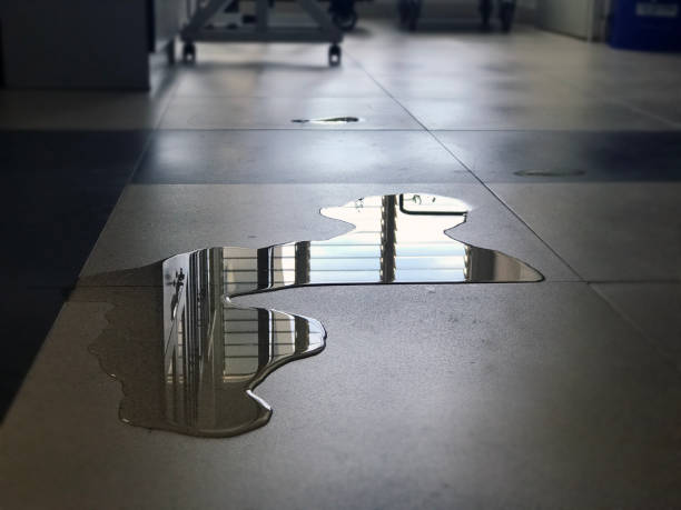 Best Water damage restoration company  in Barnesville, MN