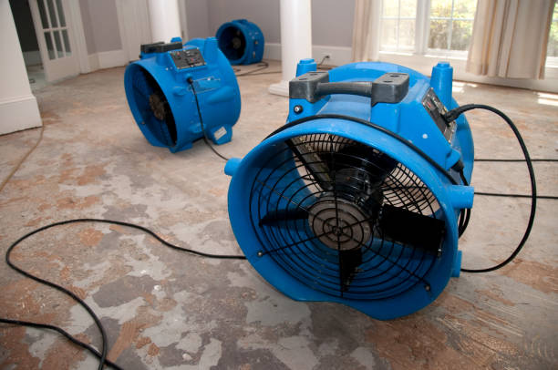 Best Flood damage cleanup  in Barnesville, MN