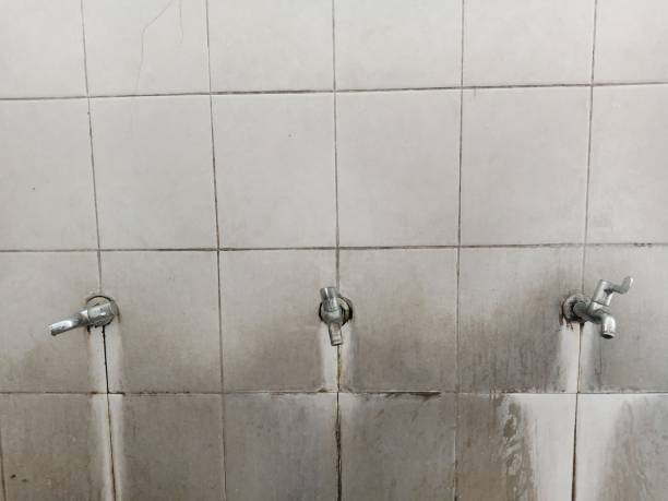 Best Flood damage cleanup  in Barnesville, MN