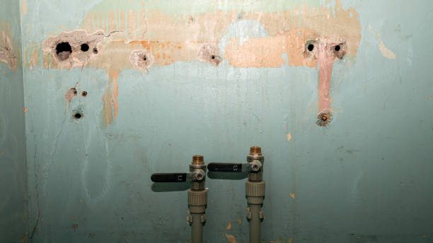 Best Water damage contractors near me  in Barnesville, MN