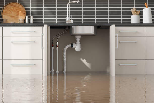 Best Carpet water damage restoration  in Barnesville, MN