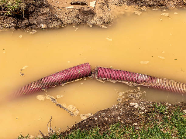 Best Commercial water damage restoration  in Barnesville, MN