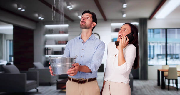 Best Water damage cleanup near me  in Barnesville, MN